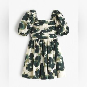 The A&F Emerson Waisted Poplin Mini Dress